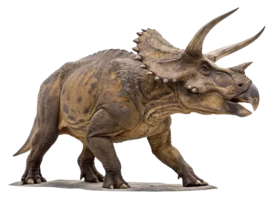 Imagen PNG para descargar